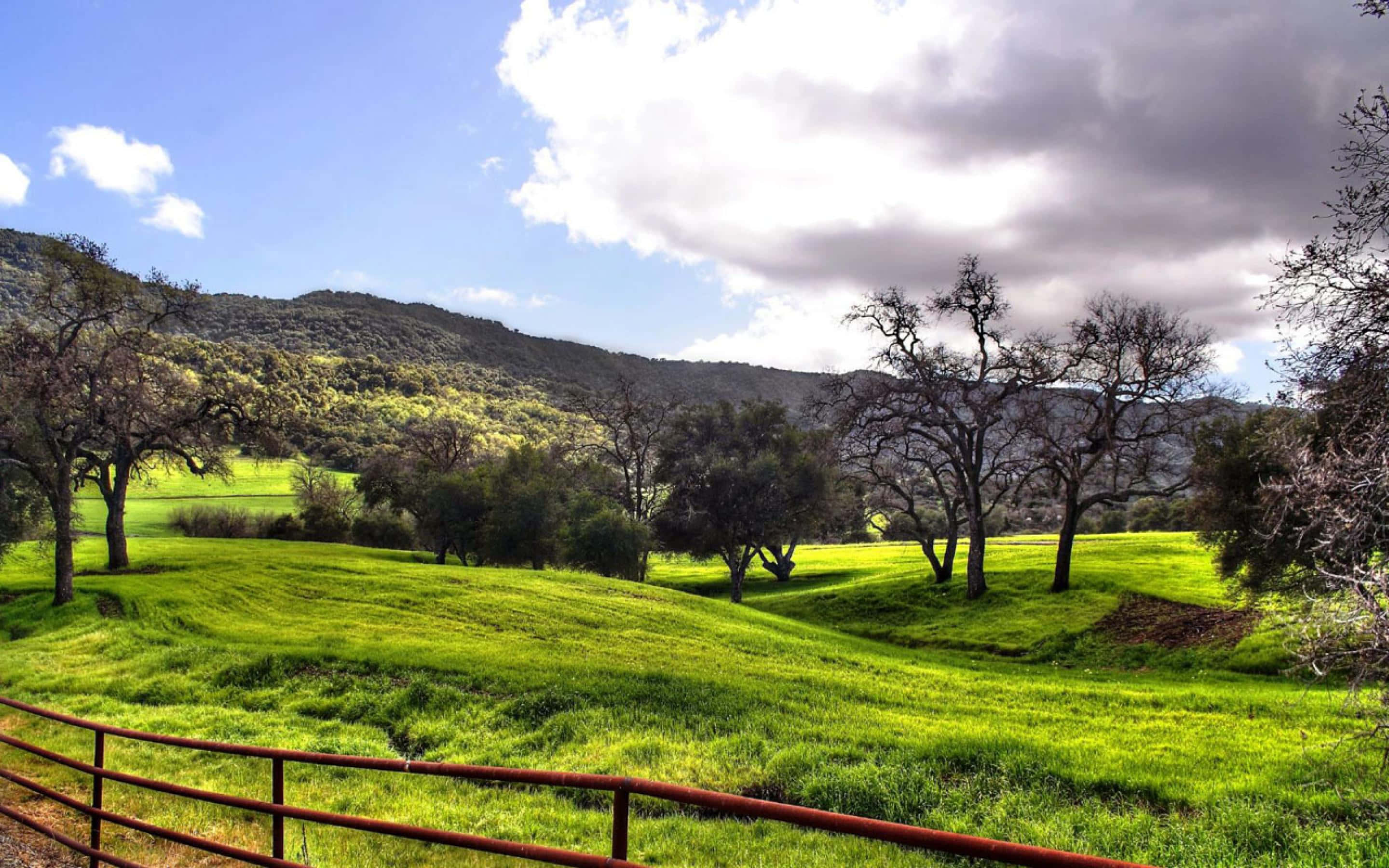 serene ranch landscape, crystal clear sky, vibrant green rolling hills, 2K Desktop Wallpaper