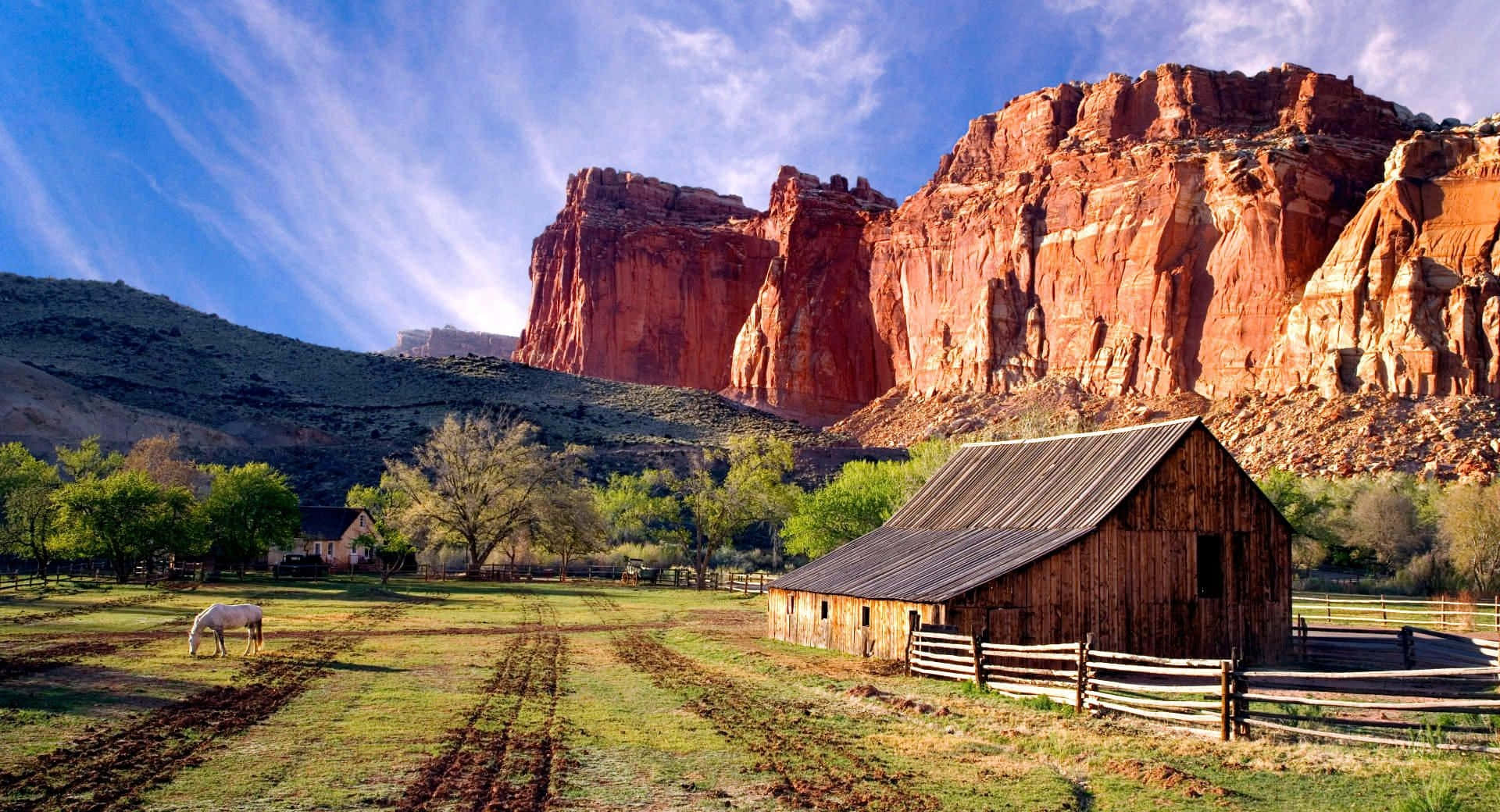 rustic wooden barn, sunlit green field, white horse, Full HD Desktop Wallpaper