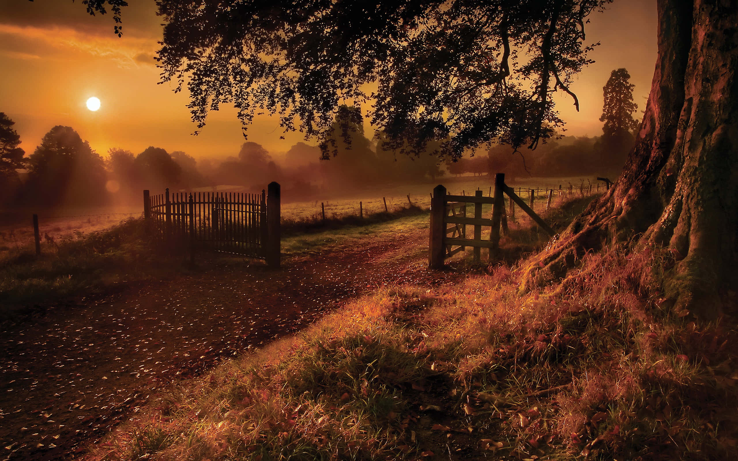 Ranch, golden field, large tree, 2K Desktop Wallpaper