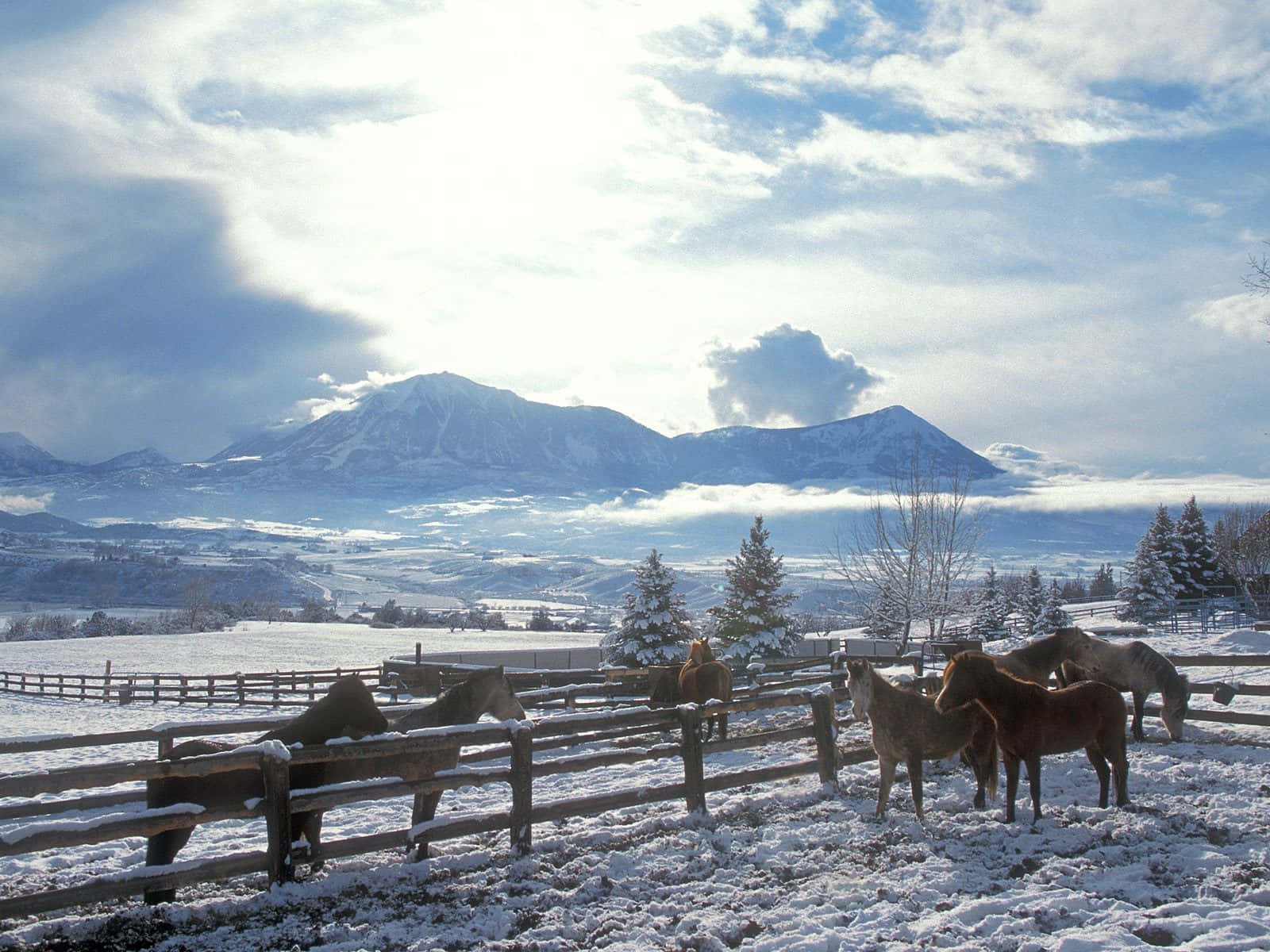 Ranch, snowy pasture, snow-capped mountains, HD Desktop Wallpaper