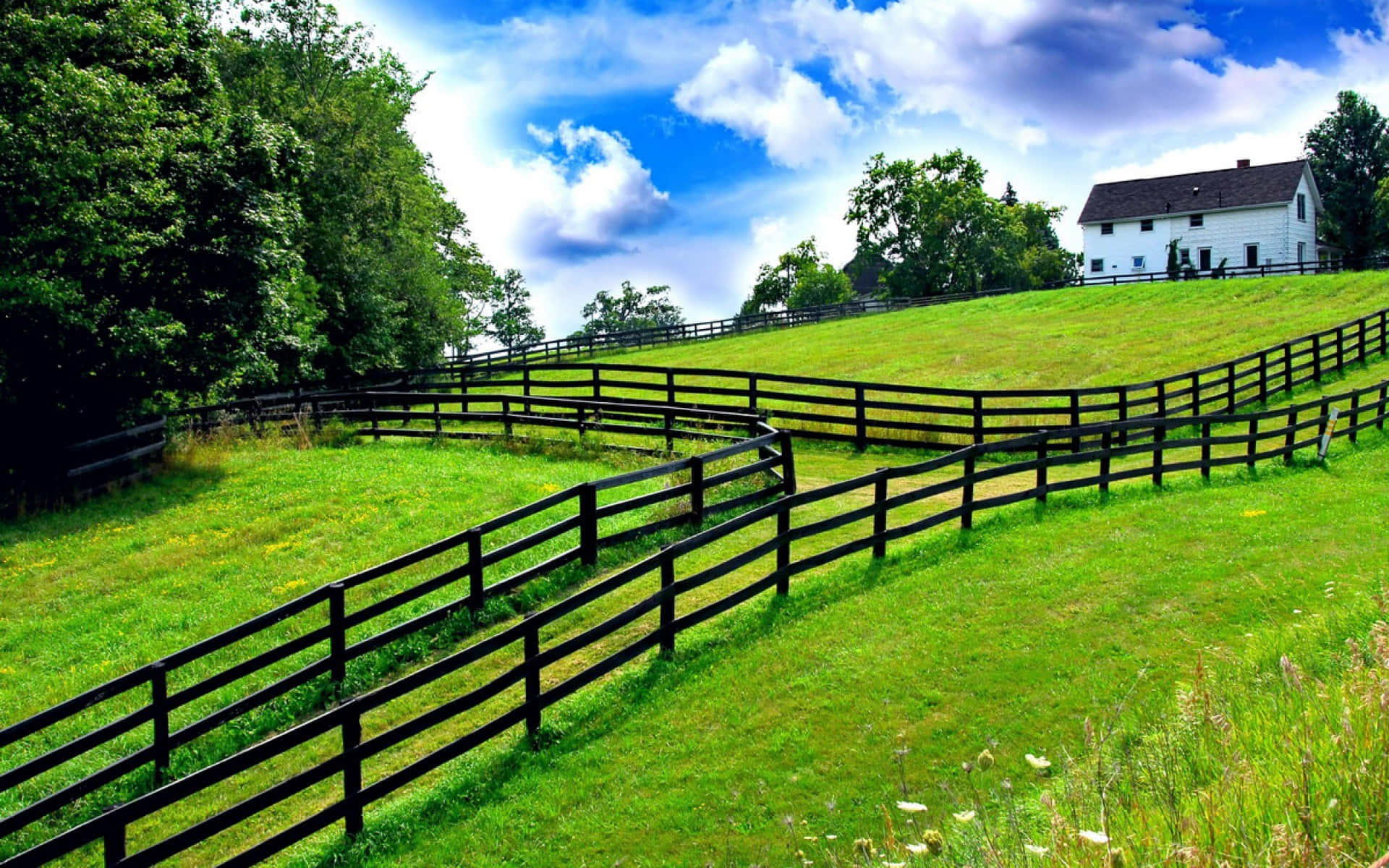 ranch, black fence, vibrant green hills, Full HD Desktop Wallpaper