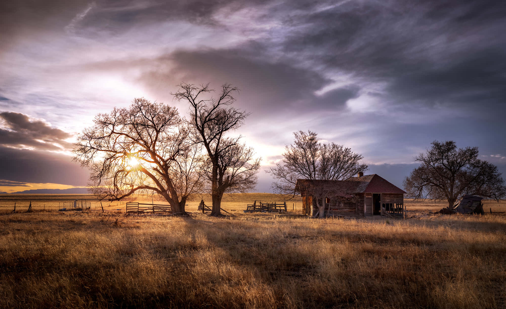 ranch, Sunset, bare trees, Full HD Desktop Wallpaper