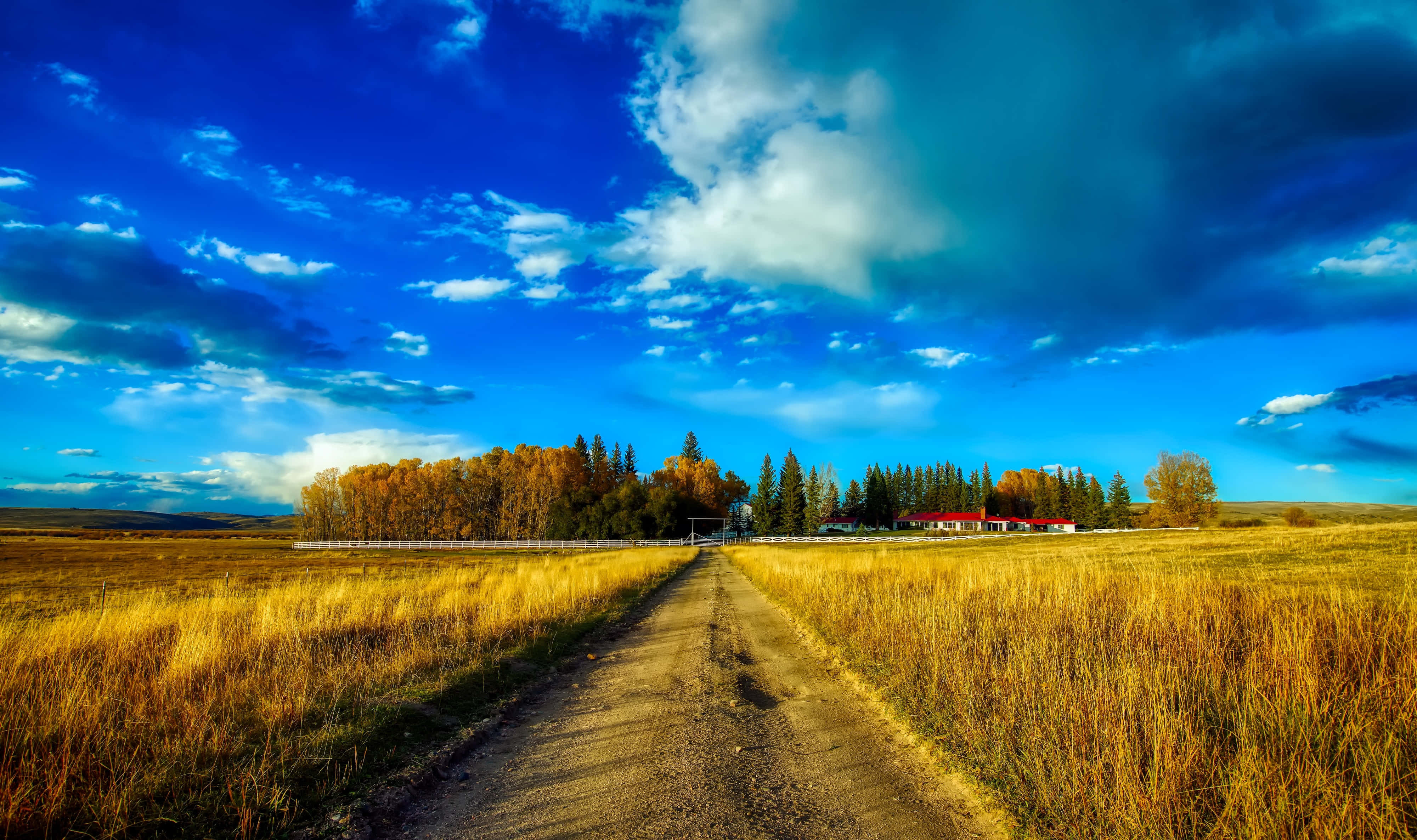 Ranch, golden grass fields, red barn, 4K Desktop Wallpaper