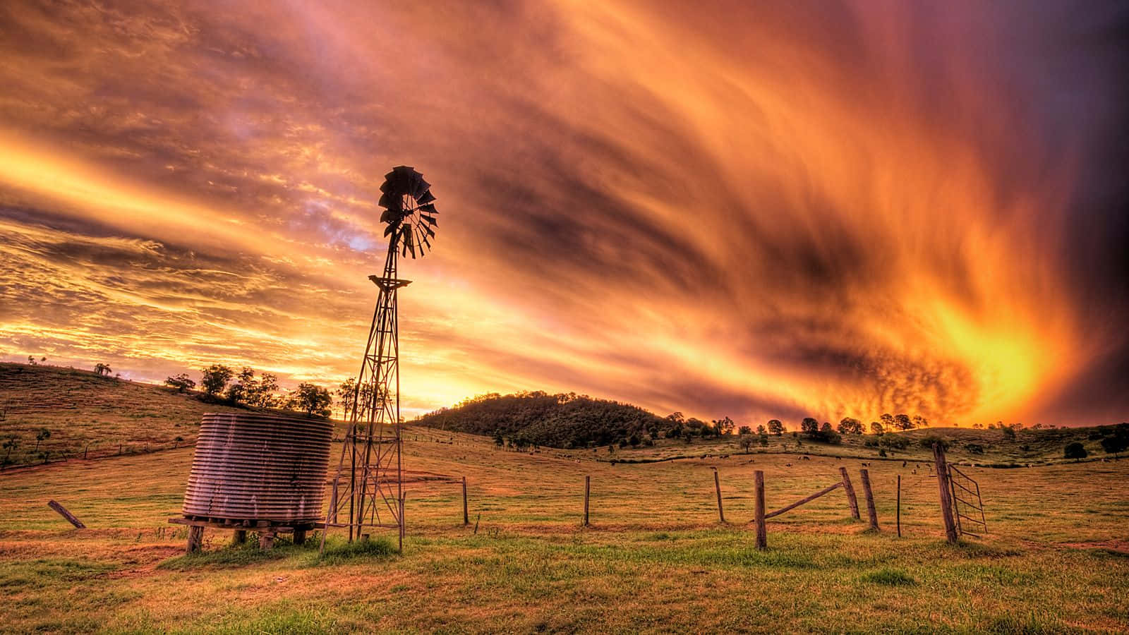 Ranch, windmill, golden field, HD Desktop Wallpaper