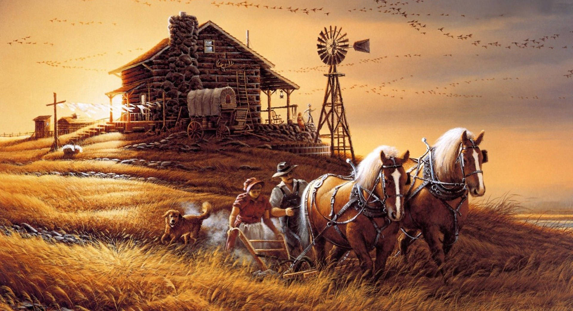 American cowboy, sunset, golden wheat fields, Full HD Desktop Wallpaper