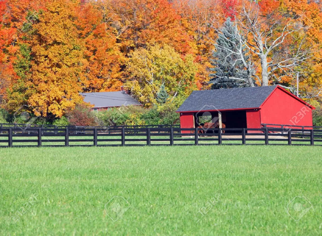 vibrant red barn, lush green field, black fence, HD Desktop Wallpaper