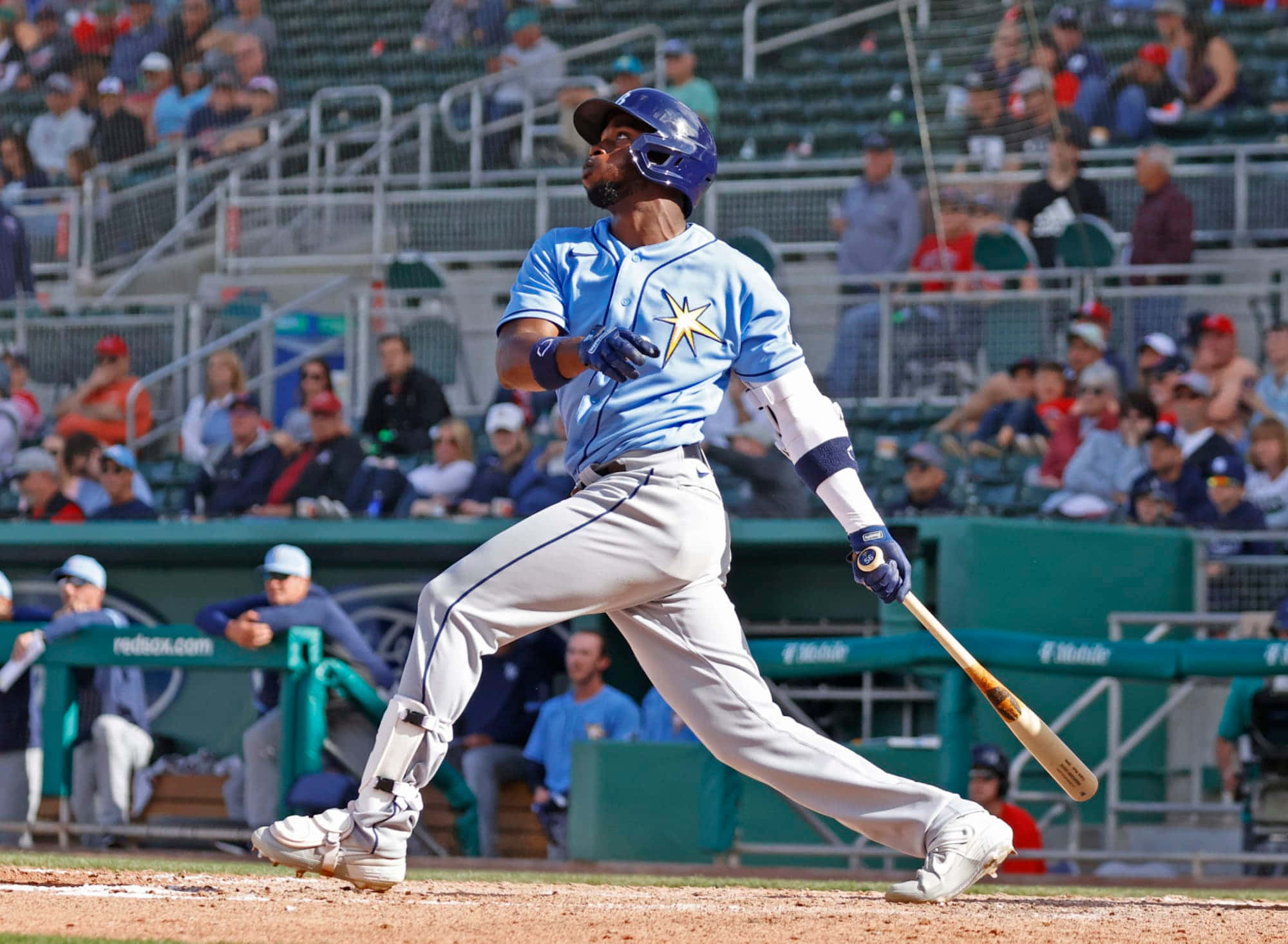 Randy Arozarena, light blue uniform, bat, Full HD Desktop Wallpaper