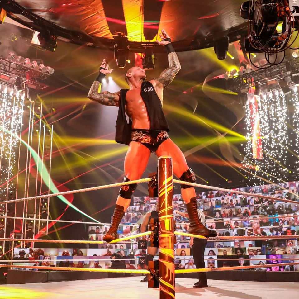 Randy Orton, wrestler, turnbuckle, SD Desktop Wallpaper