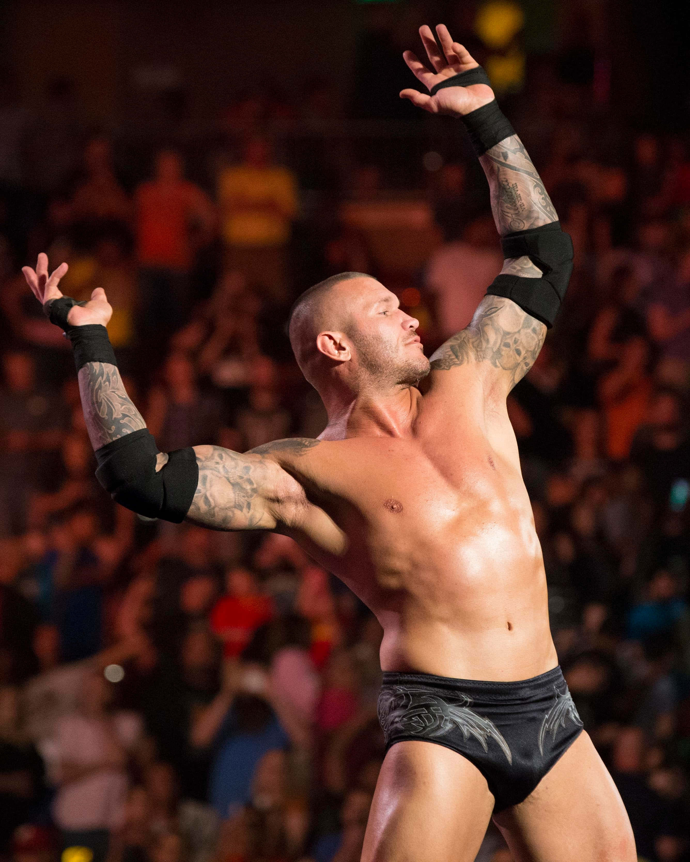Randy Orton, black trunks, arena lights, 2K Phone Wallpaper