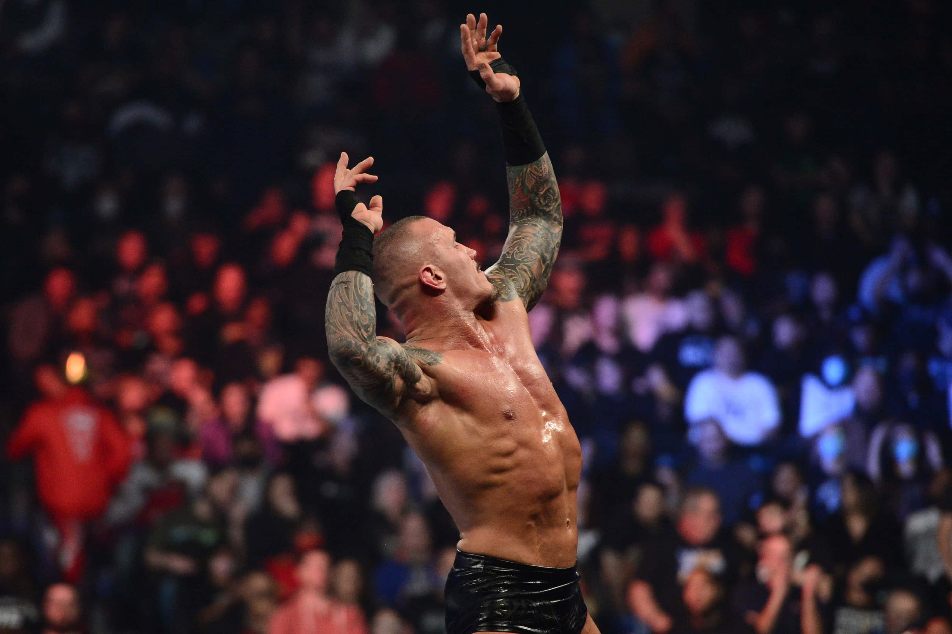 Randy Orton, tattooed wrestler, packed arena, 2K Desktop Wallpaper