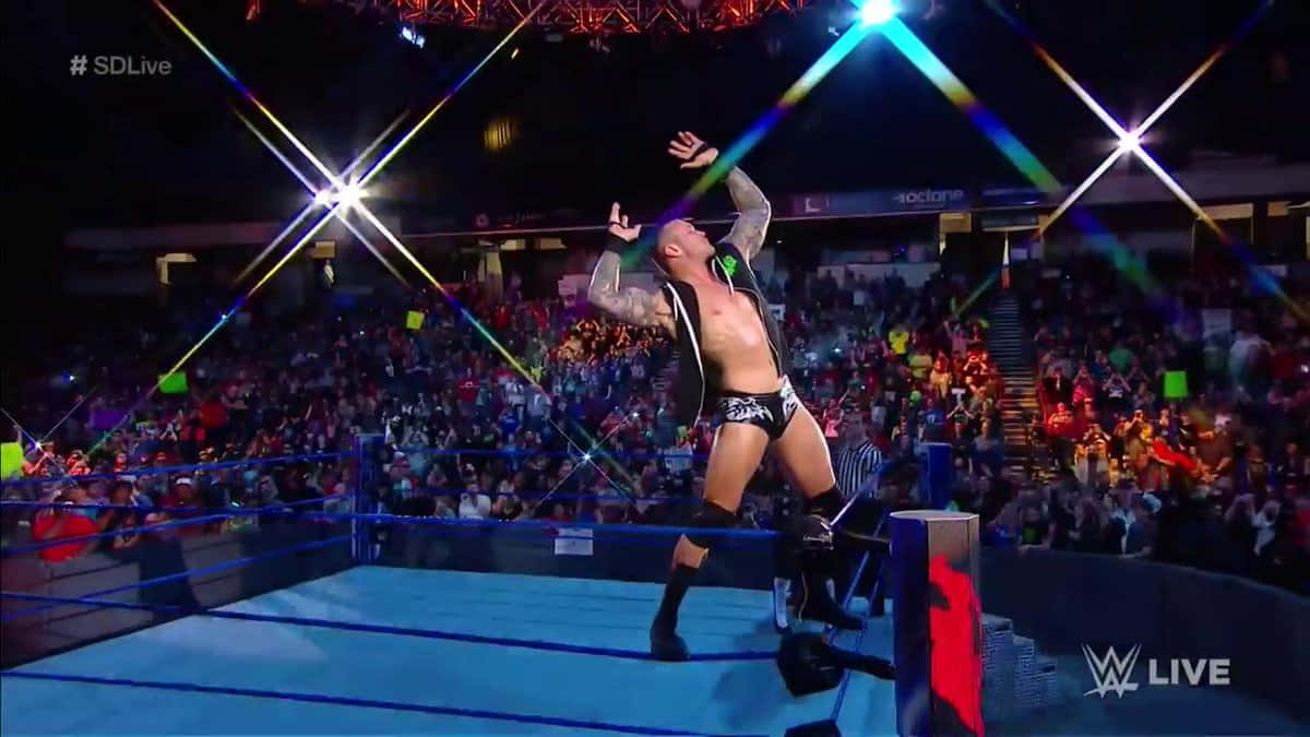 Randy Orton, black trunks, ring apron, SD Desktop Wallpaper