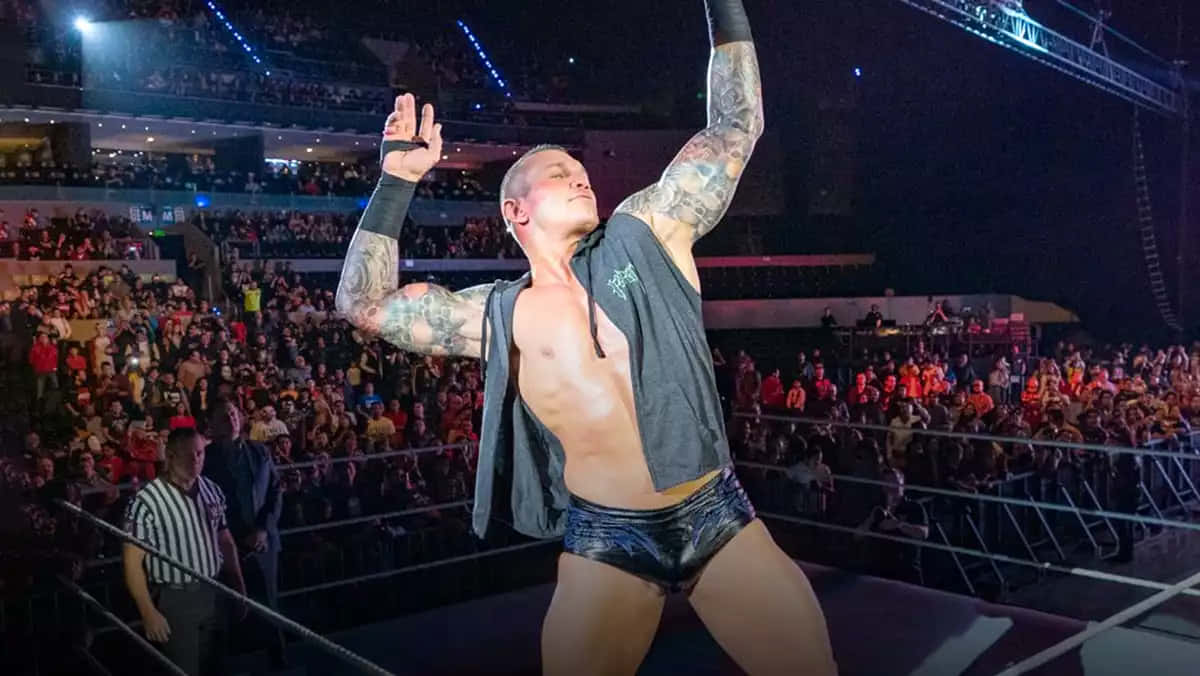 Randy Orton, wrestler, ring, SD Desktop Wallpaper