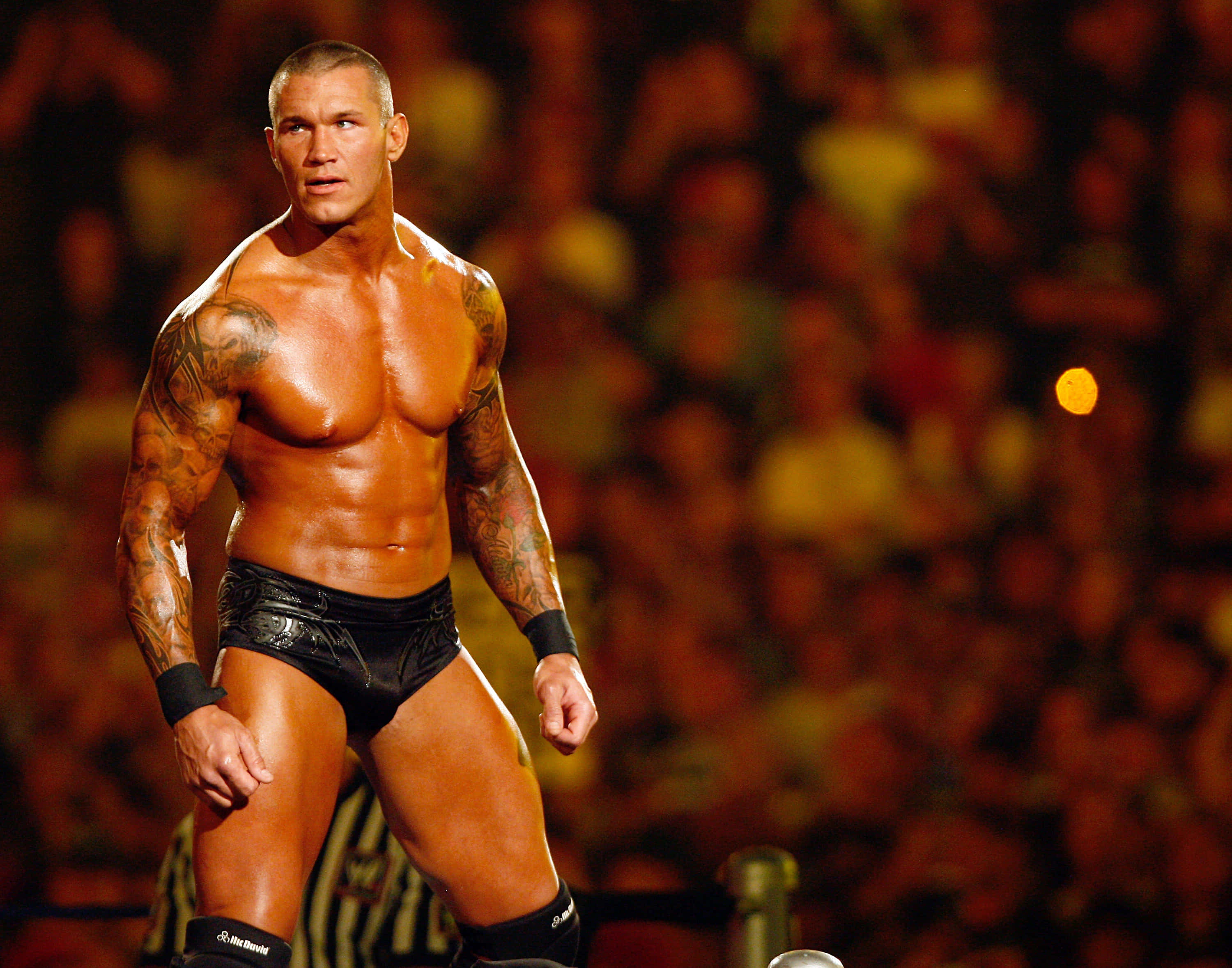 Randy Orton, wrestler, ring, 2K Desktop Wallpaper
