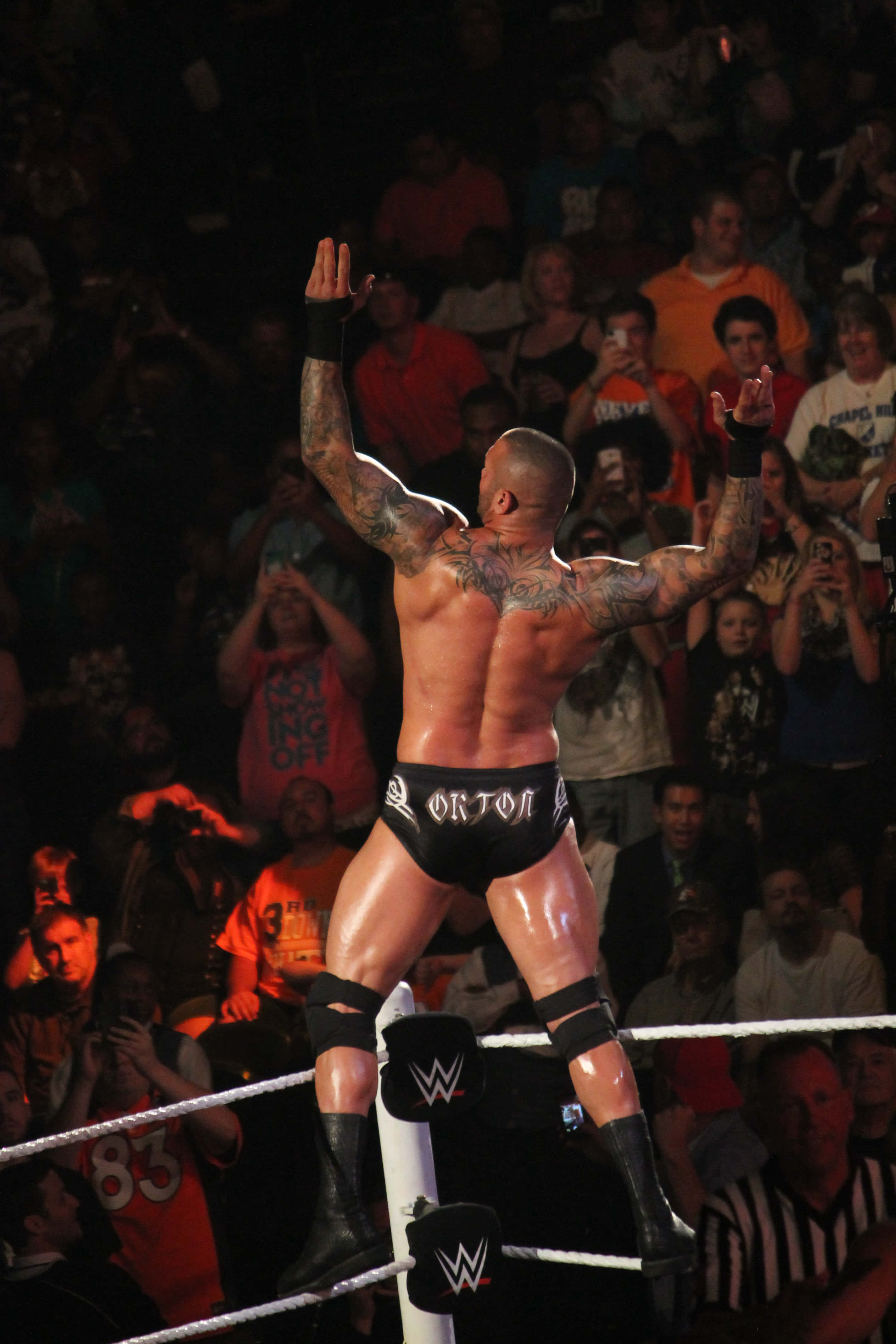 Randy Orton, wrestling ring, turnbuckle, 4K Phone Wallpaper