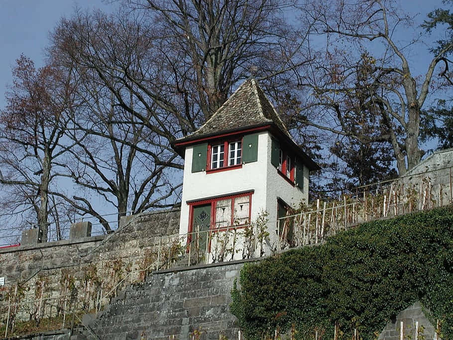 Rapperswil Jona, historic watchtower, white house, SD Desktop Wallpaper