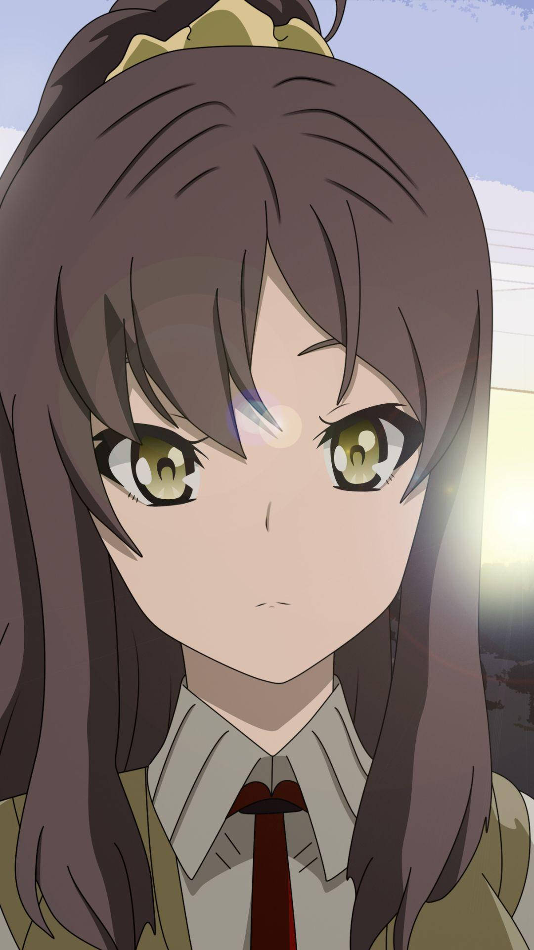 Rascal Does Not Dream Of Bunny Girl Senpai, brown hair, green eyes, Full HD Phone Wallpaper