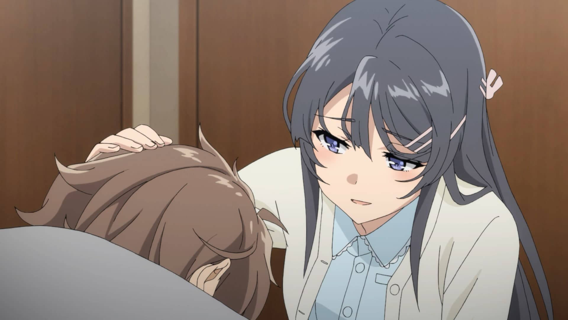 Rascal Does Not Dream Of Bunny Girl Senpai, gray hair, brown hair, Full HD Desktop Wallpaper