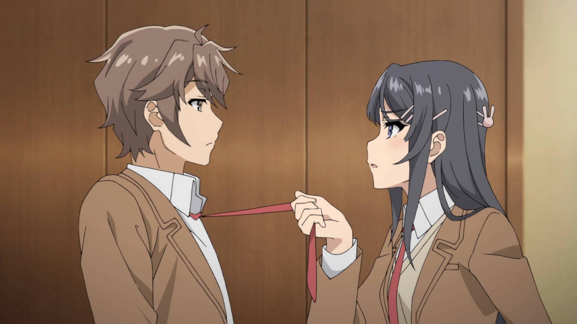Rascal Does Not Dream Of Bunny Girl Senpai, anime girl, boy, Full HD Desktop Wallpaper