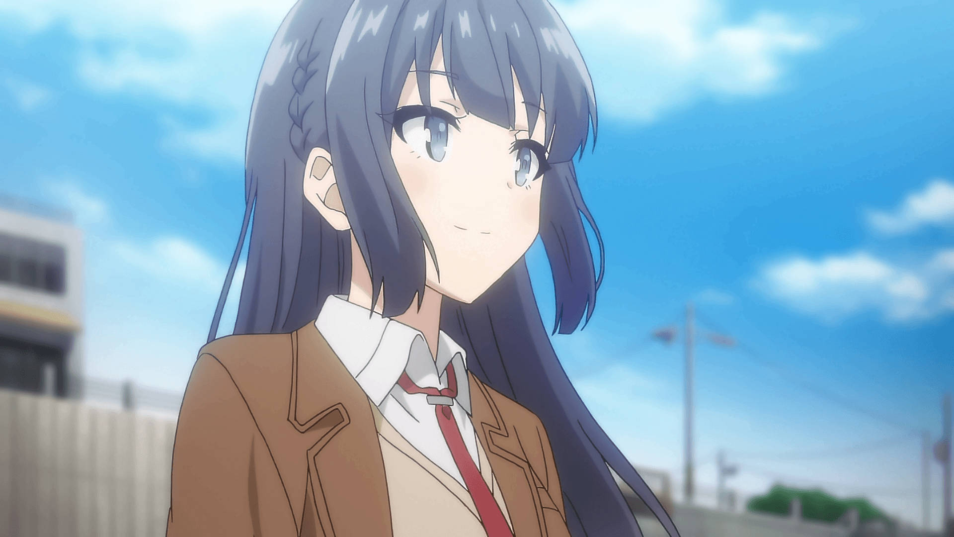 Rascal Does Not Dream Of Bunny Girl Senpai, brown jacket, tie, Full HD Desktop Wallpaper