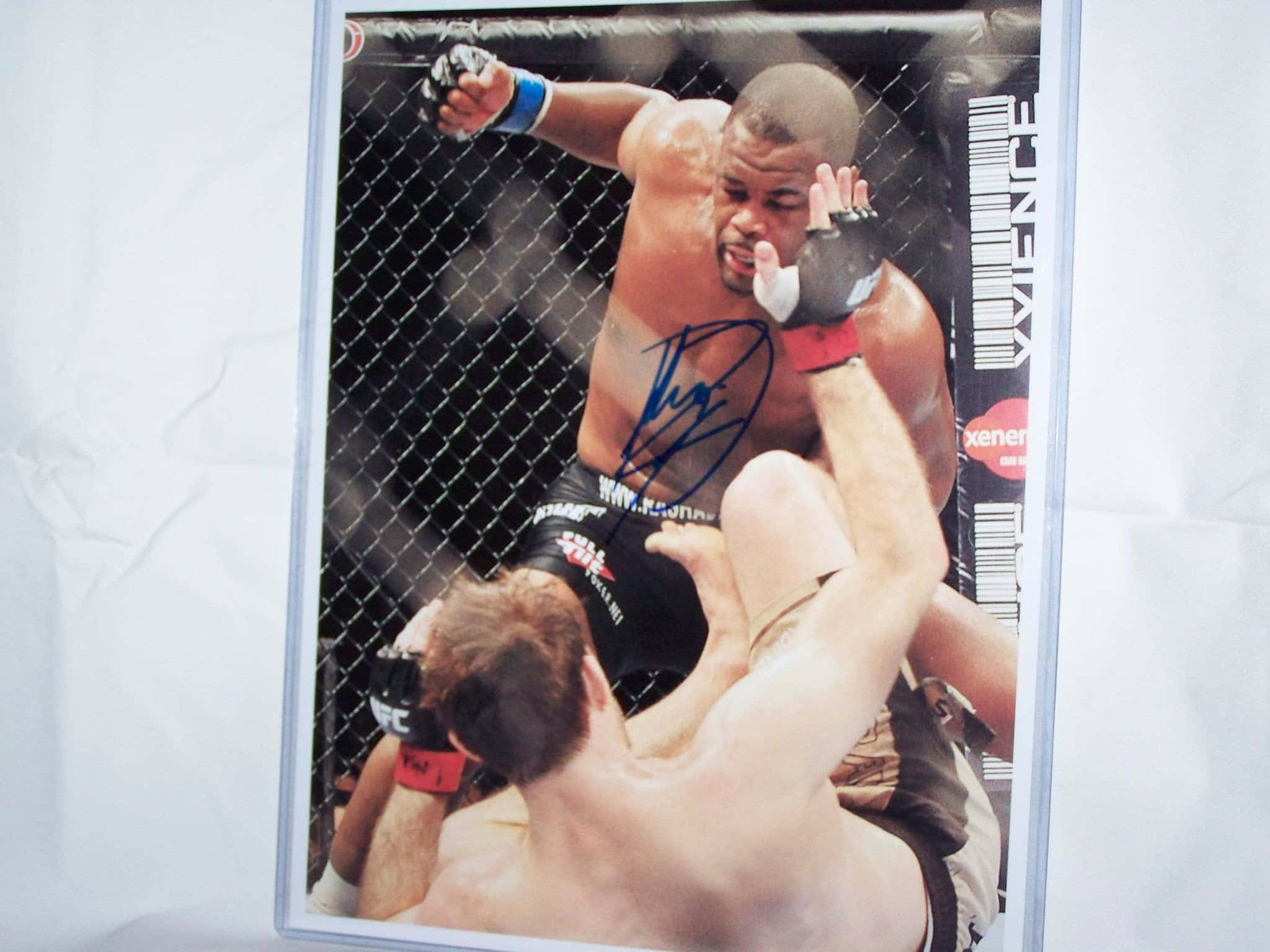 Rashad Evans, octagon cage, mixed martial arts match, Full HD Desktop Wallpaper