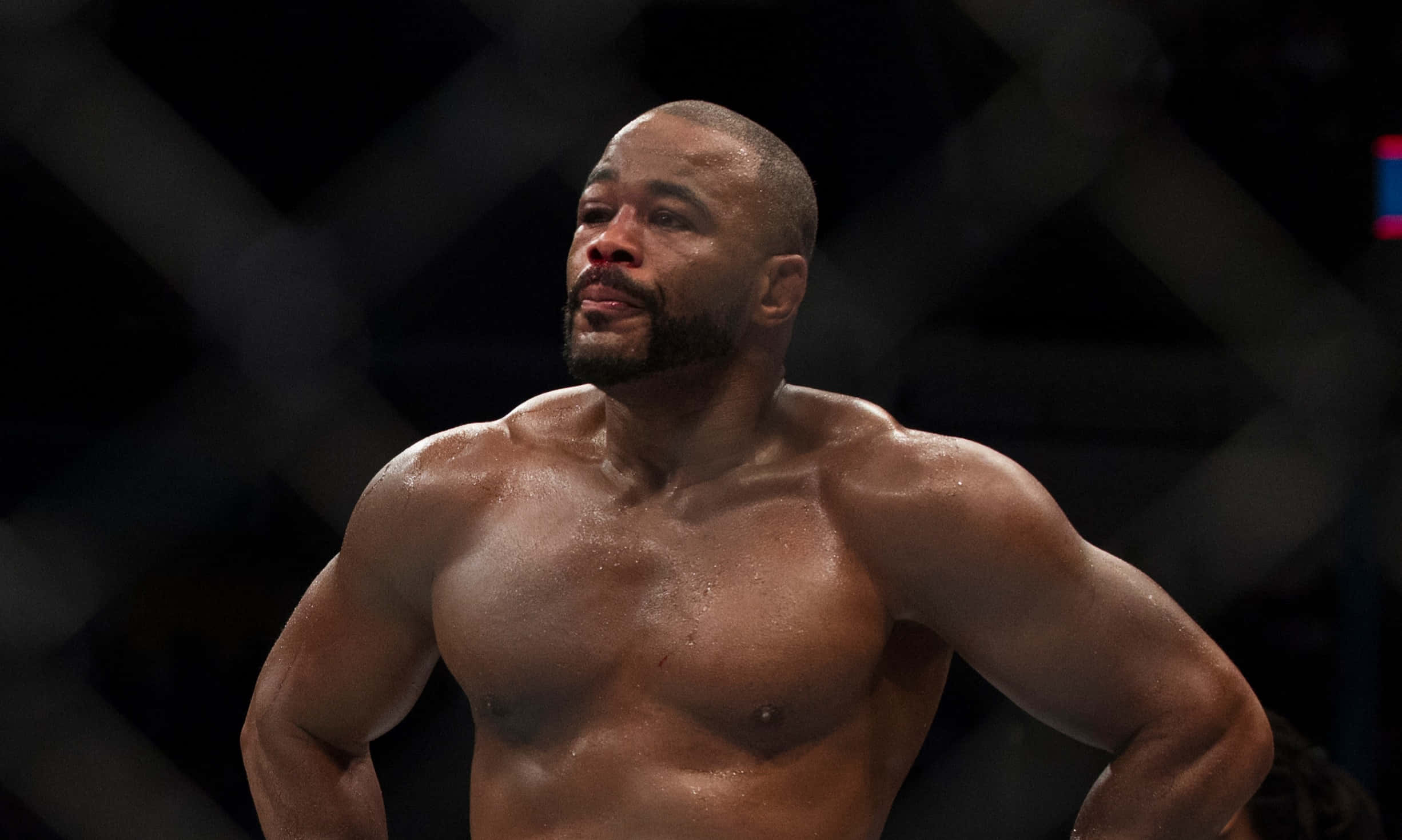 Rashad Evans, dark octagon cage, bright arena lights, Full HD Desktop Wallpaper