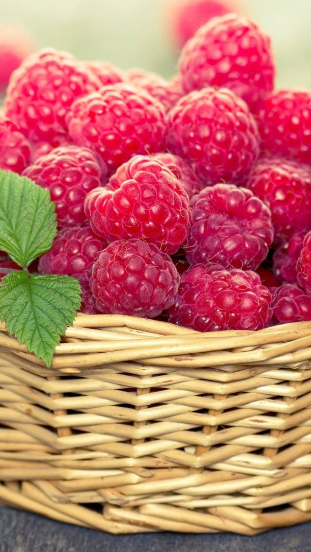 basket of red raspberries, plump juicy raspberries, single green leaf, SD Phone Wallpaper