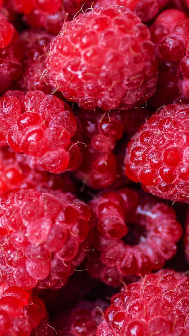 ripe red raspberries, dewdrops, vibrant close-up macro shot, HD Phone Wallpaper