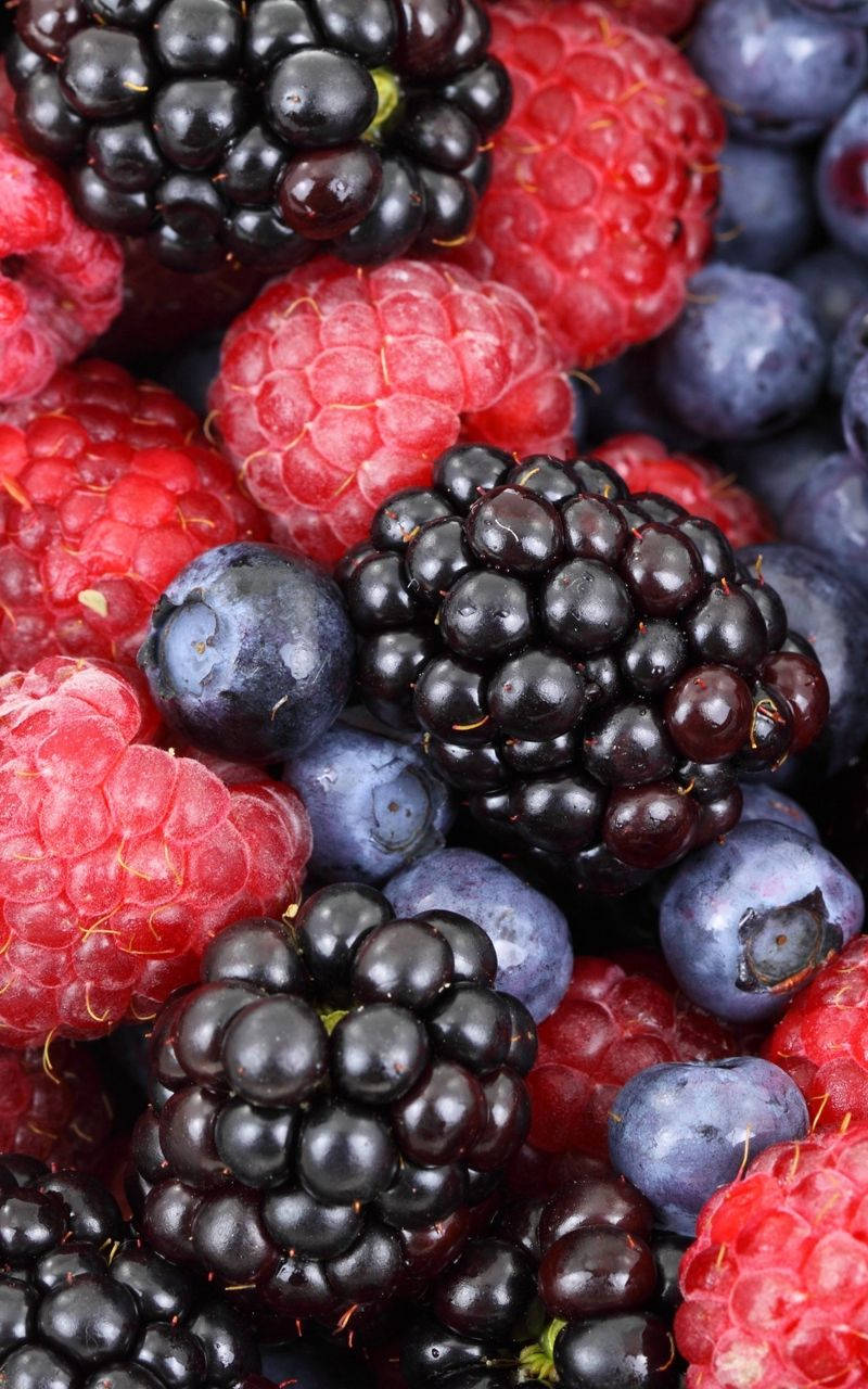blackberries, raspberries, blueberries, HD Phone Wallpaper