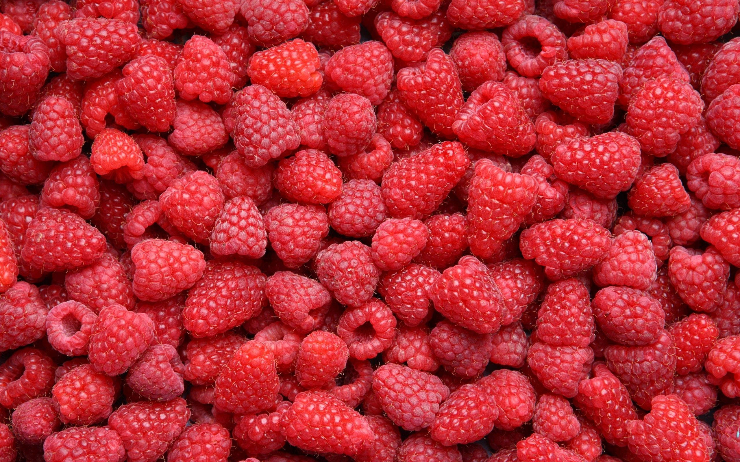 red raspberries, plump juicy, dewy texture, 2K Desktop Wallpaper