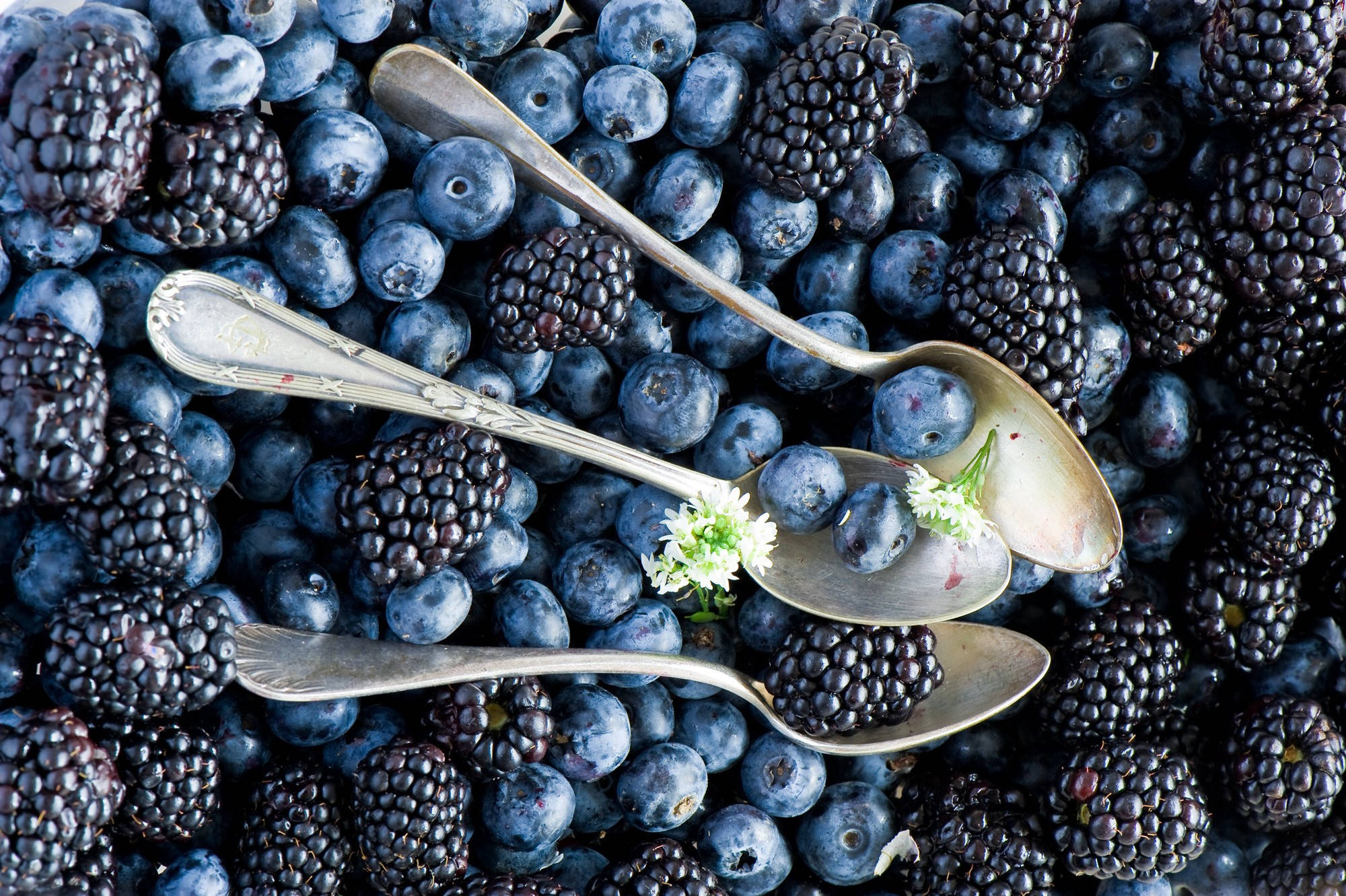 black raspberries, blueberries, vintage spoons, Full HD Desktop Wallpaper