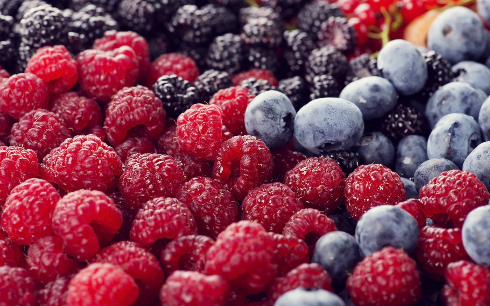 boysenberry, red raspberries, blackberries, HD Desktop Wallpaper