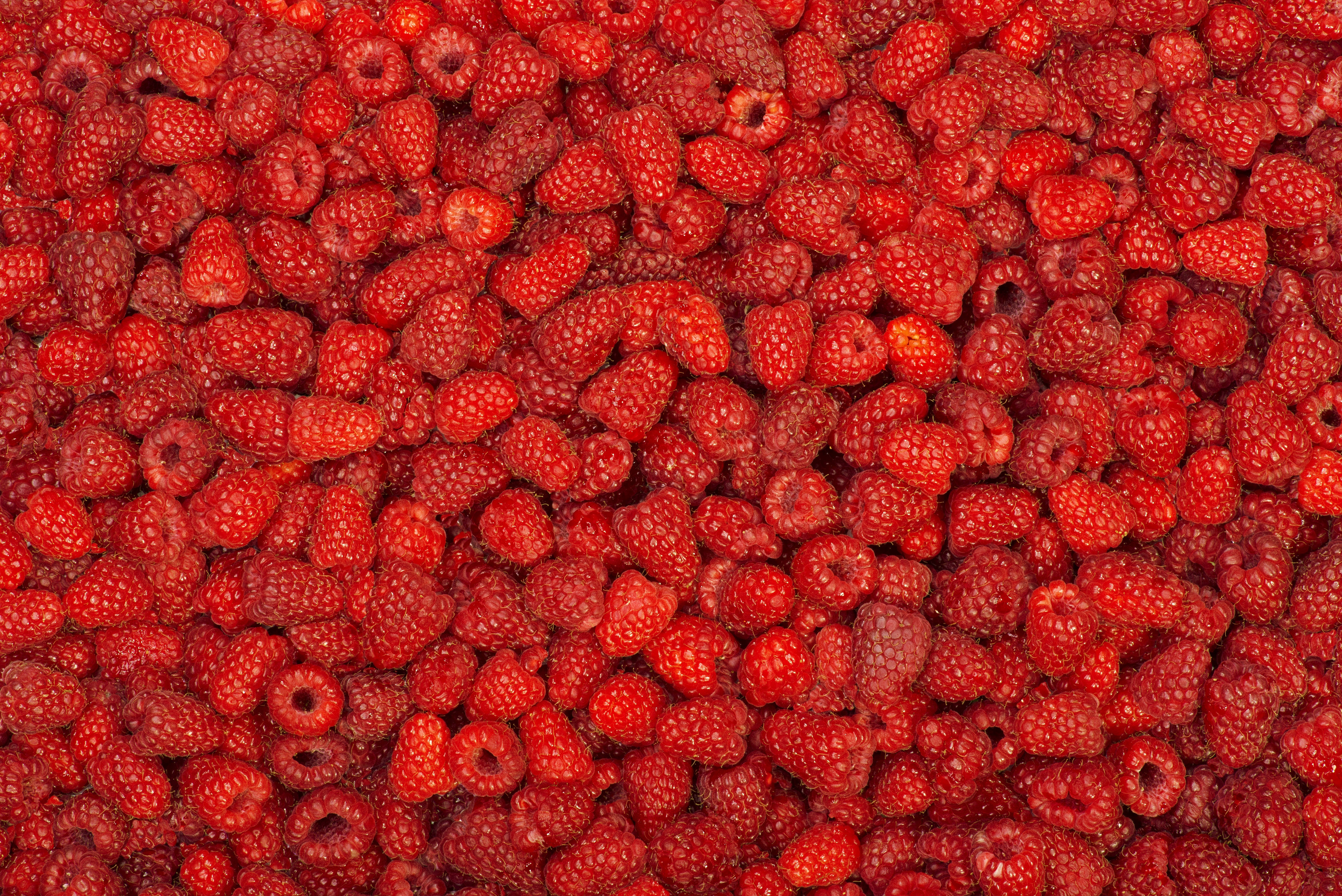 red, 4K UHD, raspberries, 5K Desktop Wallpaper
