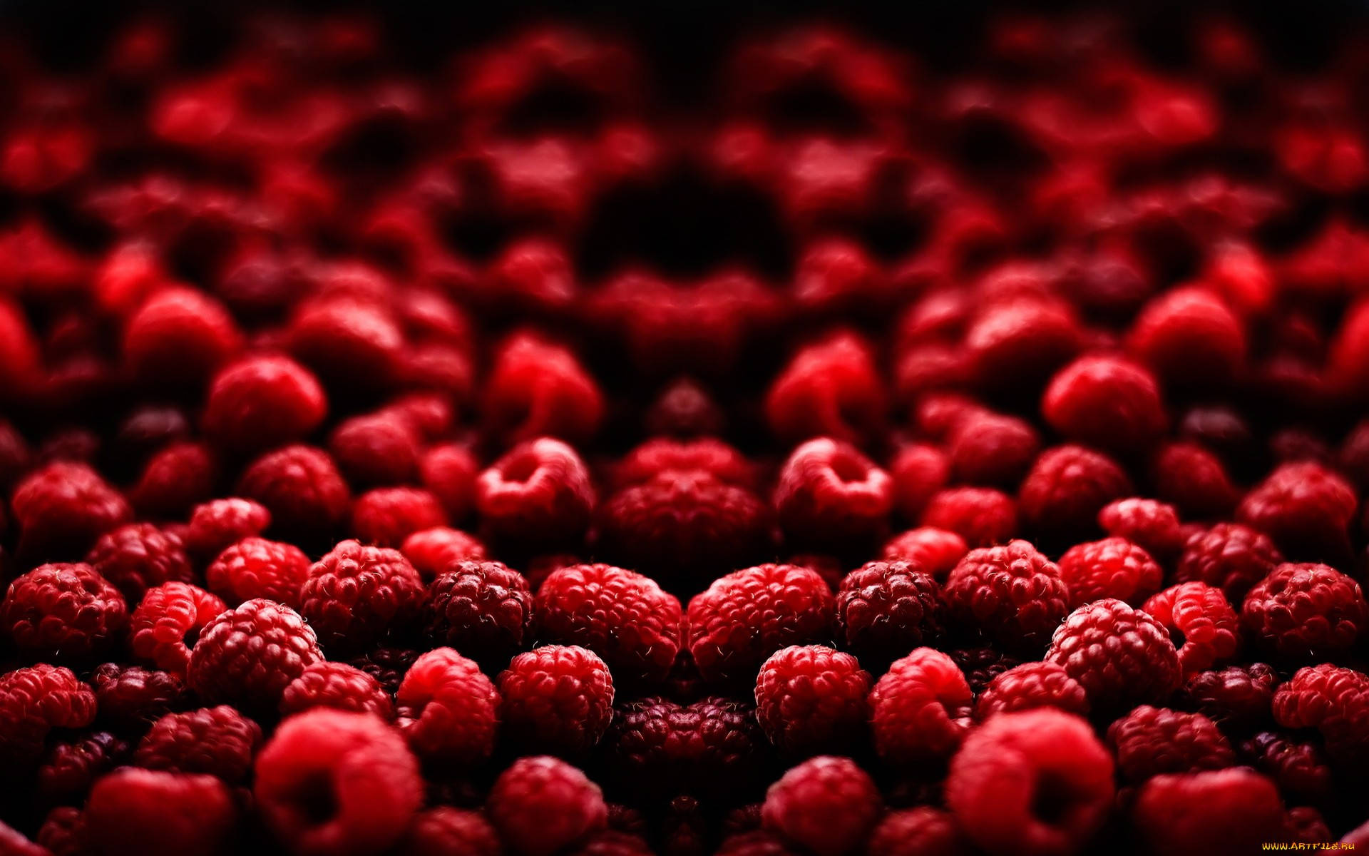 raspberries, vibrant red, shallow depth of field, Full HD Desktop Wallpaper
