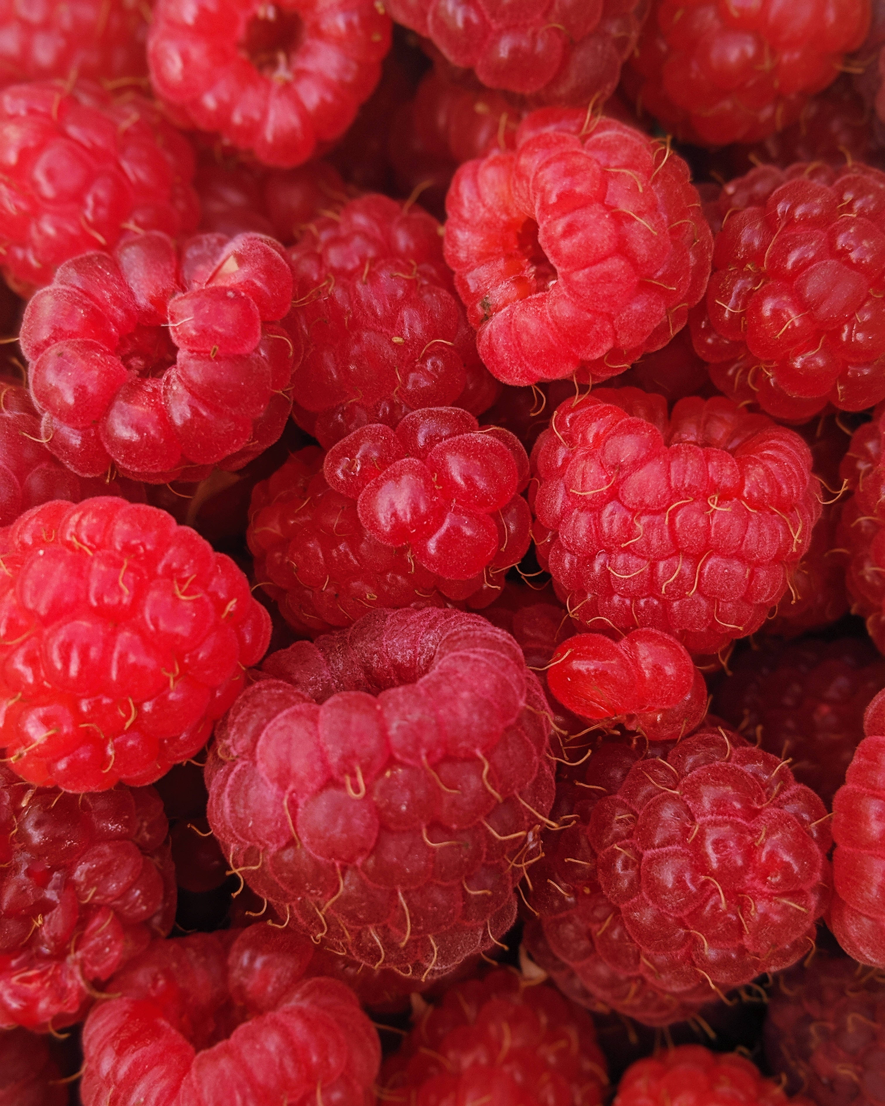 raspberries, deep red, dewy freshness, 2K Phone Wallpaper