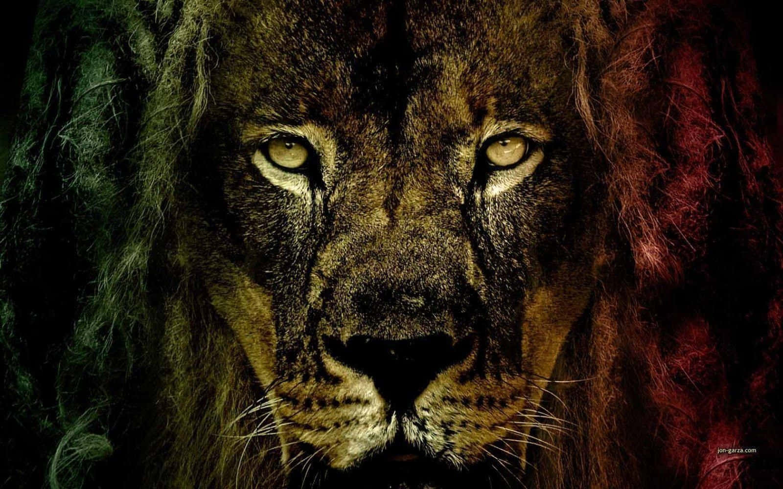 Rasta, lion, green lighting, HD Desktop Wallpaper