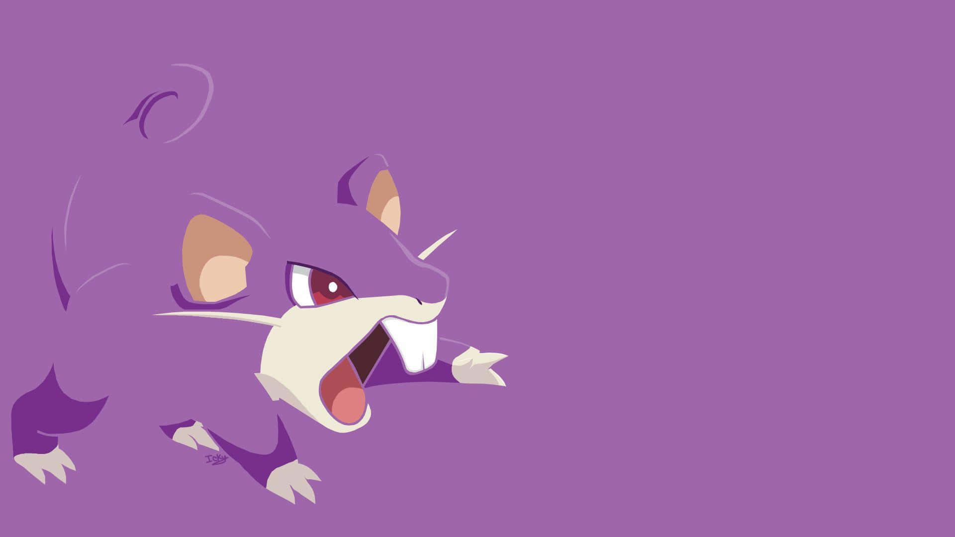 Rattata, purple, white muzzle, Full HD Desktop Wallpaper