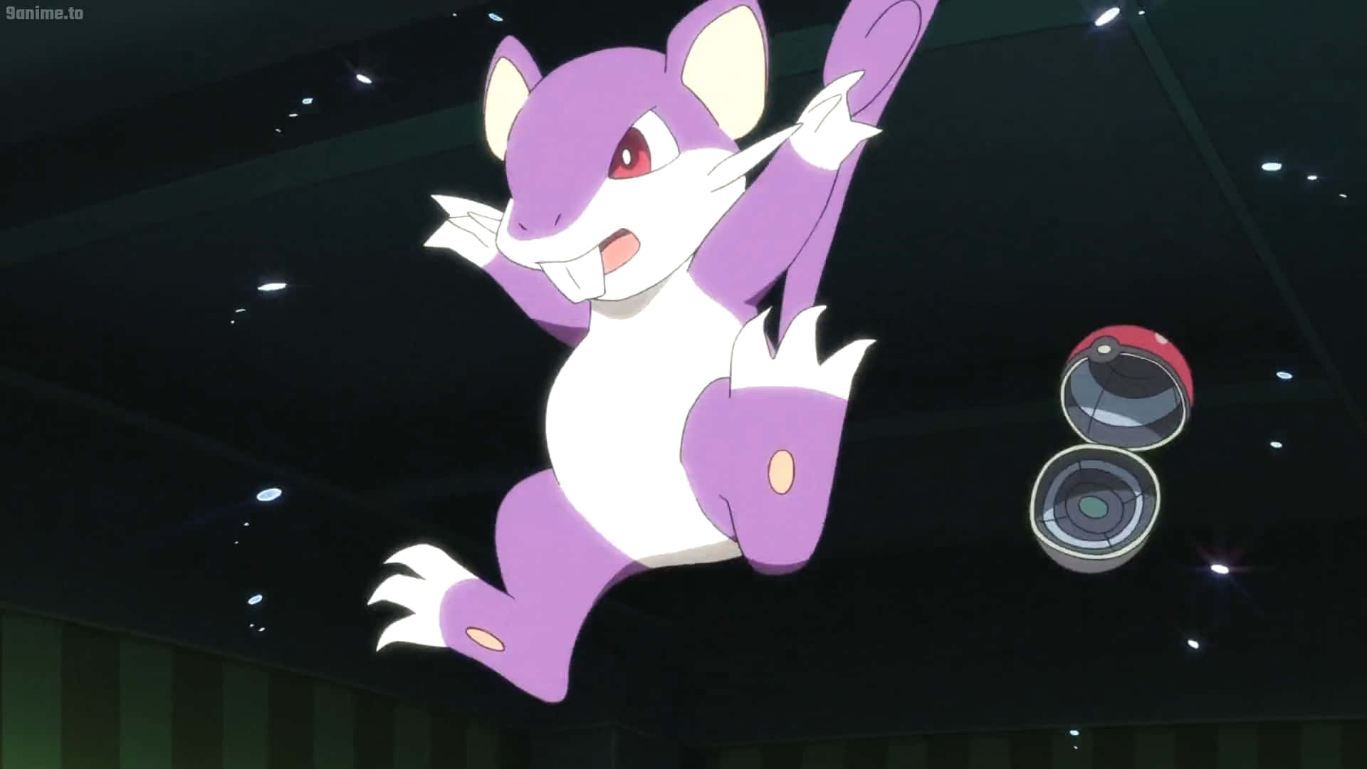Rattata, purple and white, dark ceiling, Full HD Desktop Wallpaper