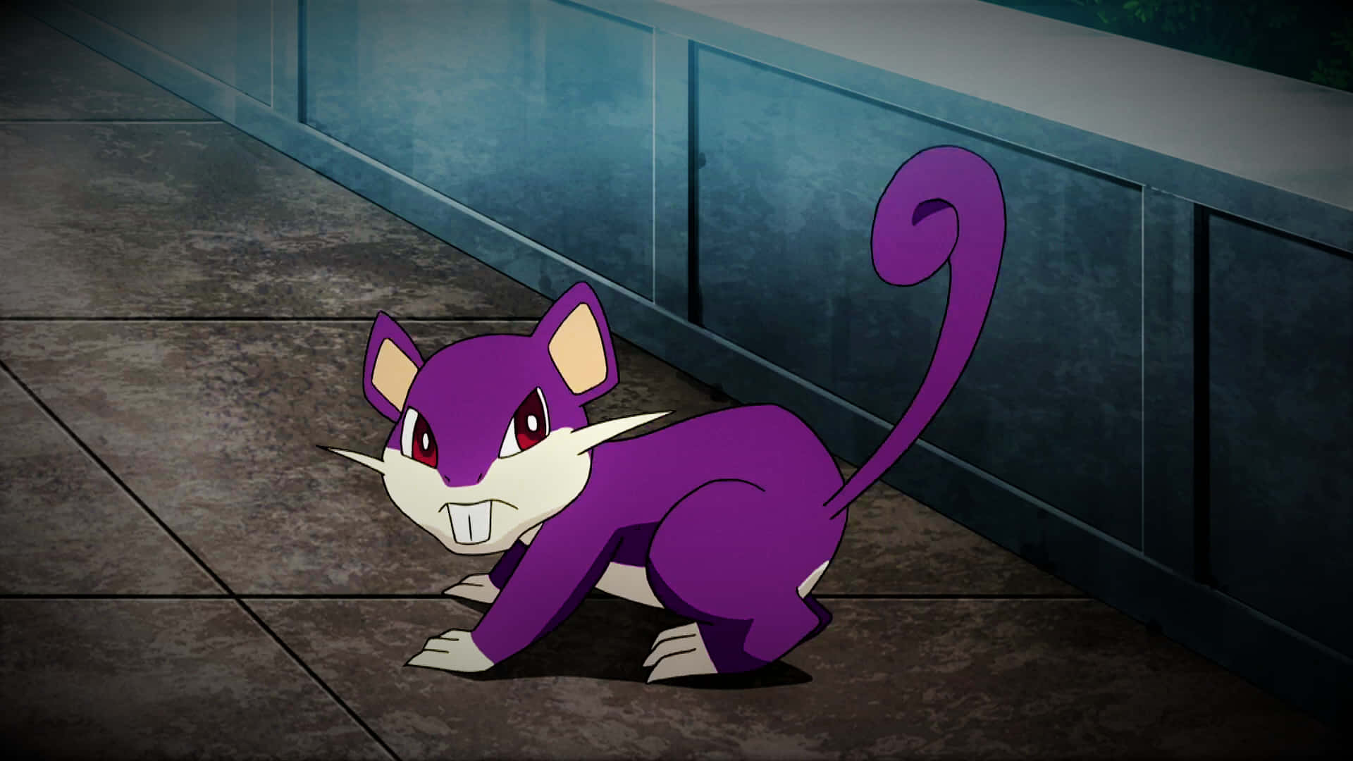 Rattata, purple animated rat, red eyes, Full HD Desktop Wallpaper
