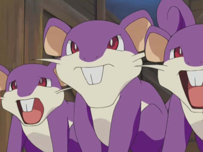 Rattata, purple fur, red eyes, SD Desktop Wallpaper