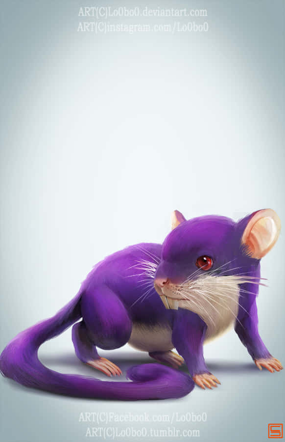 Rattata, purple fur, red eyes, SD Phone Wallpaper