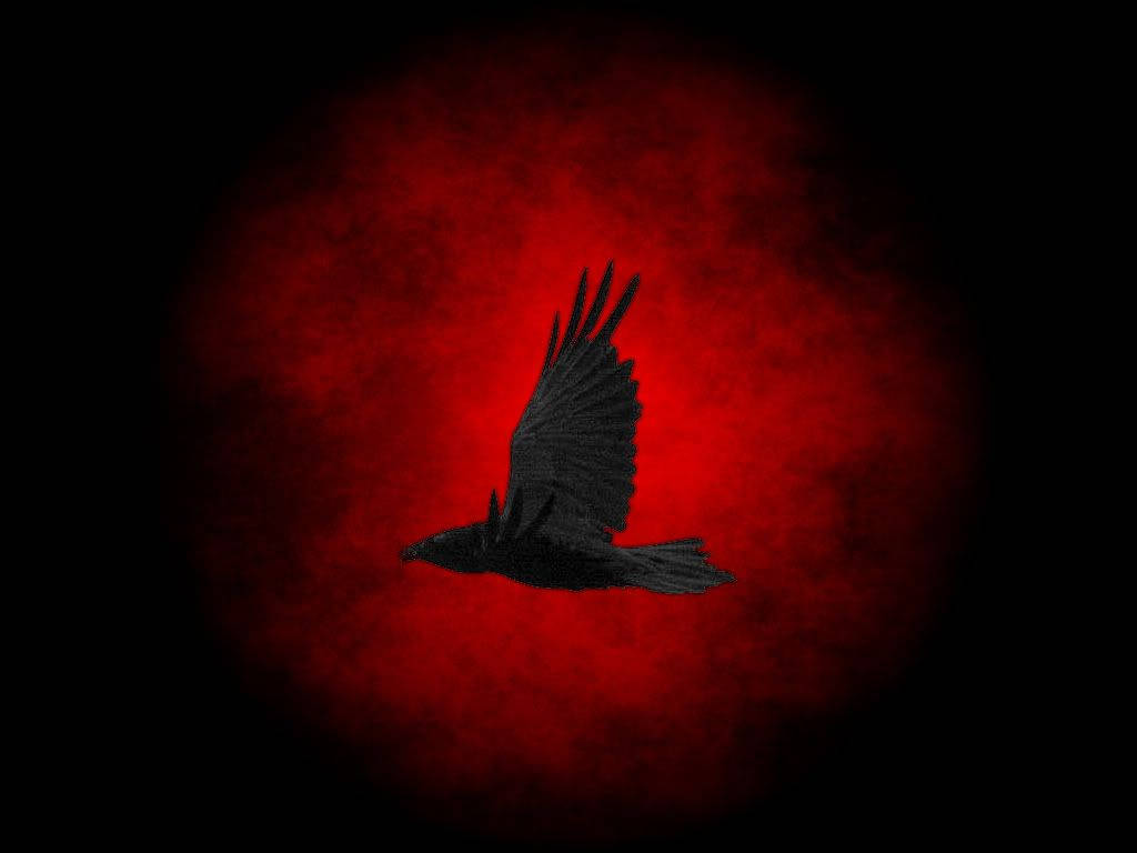 flying raven, black crow, glowing red circular backdrop, SD Desktop Wallpaper
