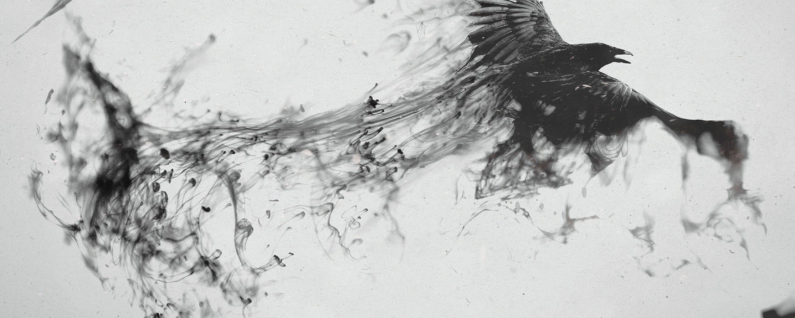 flying raven, black ink splash, silhouette, 2K Desktop Wallpaper