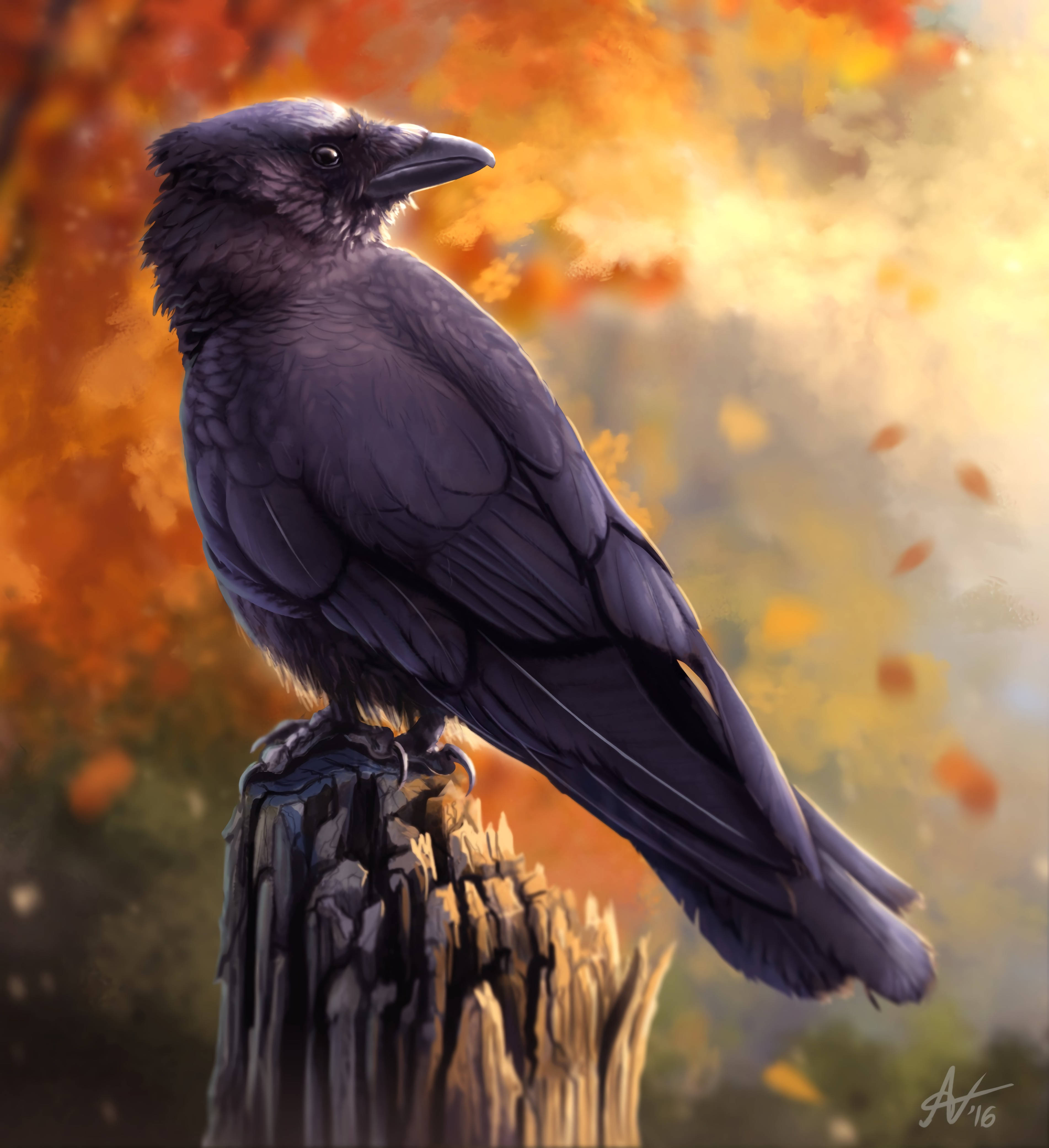 Raven, autumn, glossy black, 4K Phone Wallpaper