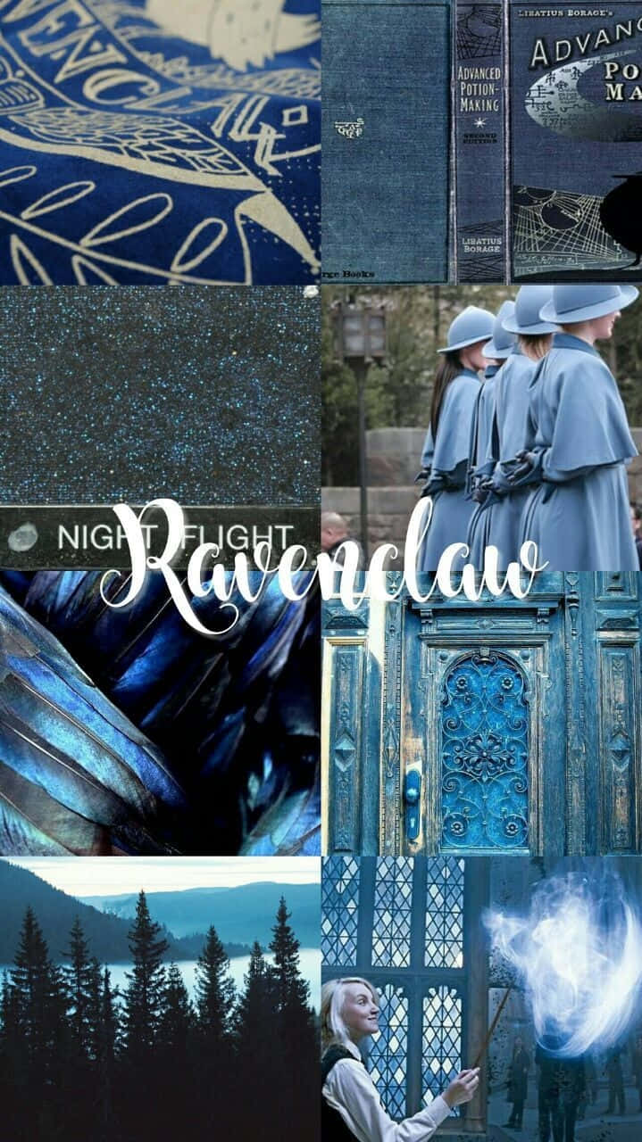 Ravenclaw Aesthetic, blue books, students in robes, HD Phone Wallpaper