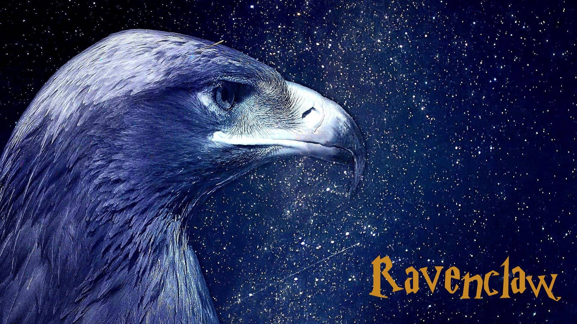 Ravenclaw, eagle, starry night sky, Full HD Desktop Wallpaper