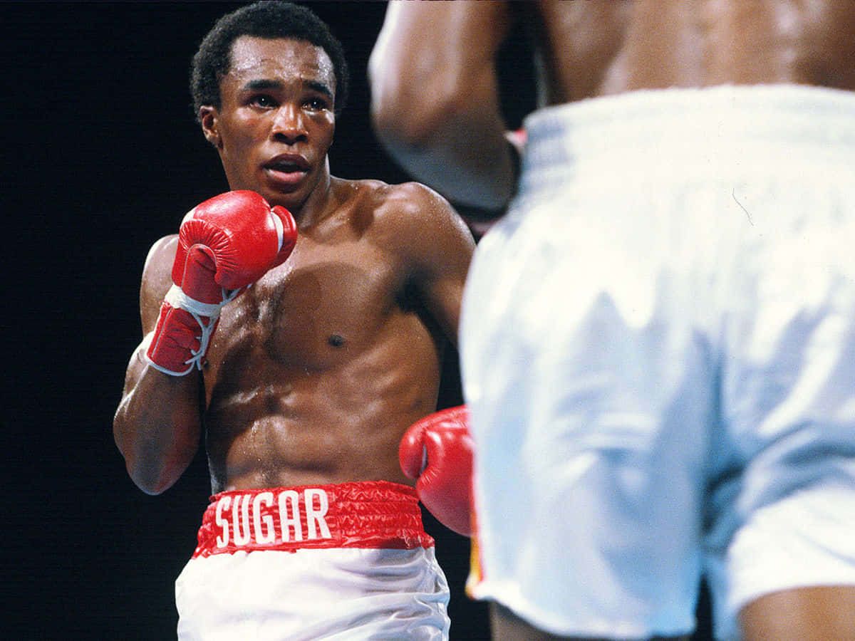 Ray Leonard, red gloves, SUGAR trunks, SD Desktop Wallpaper