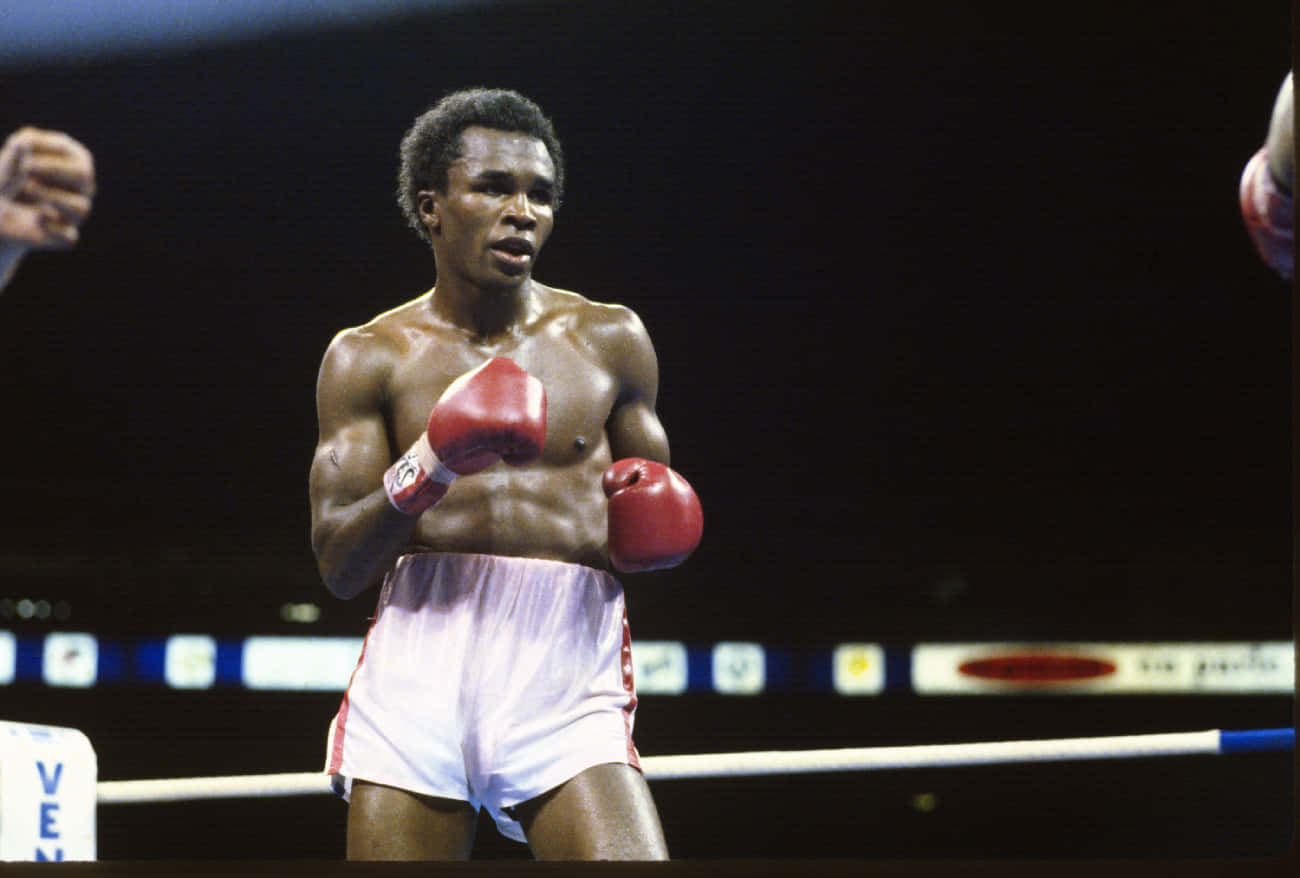 Ray Leonard, red gloves, white trunks, HD Desktop Wallpaper