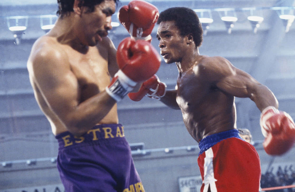 Ray Leonard, blue backdrop, red gloves, SD Desktop Wallpaper