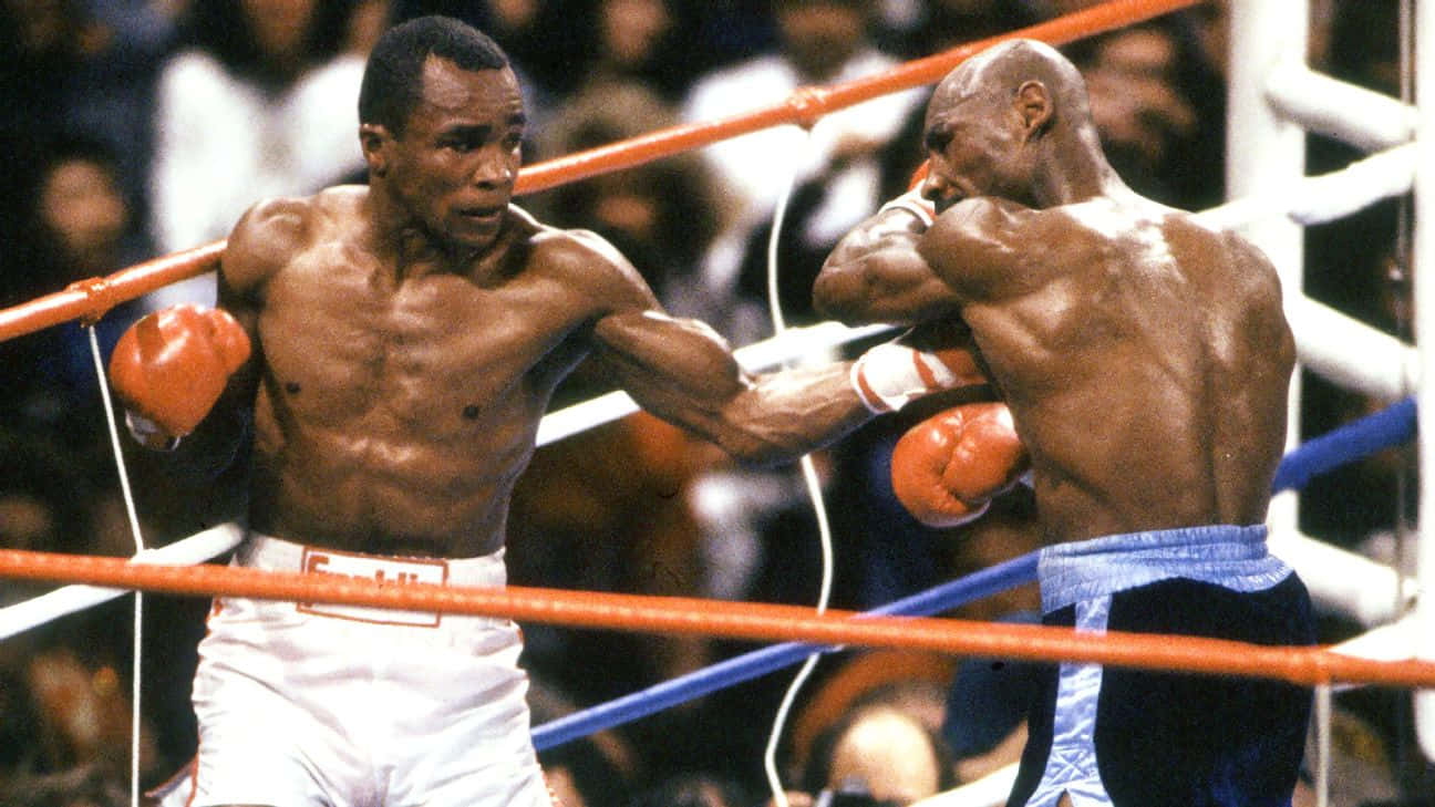 Ray Leonard, boxers, ring, HD Desktop Wallpaper