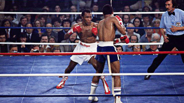 Ray Leonard, blue boxing ring, bright lights, SD Desktop Wallpaper